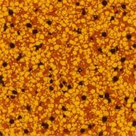 Phoenix epoxy flake swatch