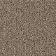 Mocha Texture