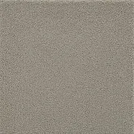 Soft Taupe Texture