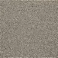 Taupe Pin Dot