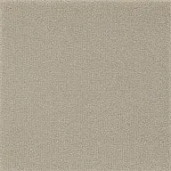 Warm Cream Texture