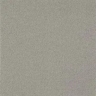 Warm Greige Texture