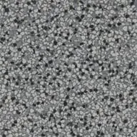 Torginol Shale